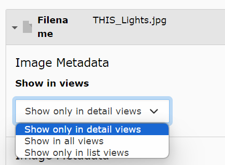 Screenshot of Show in views dropdown menu in the News Media tab.