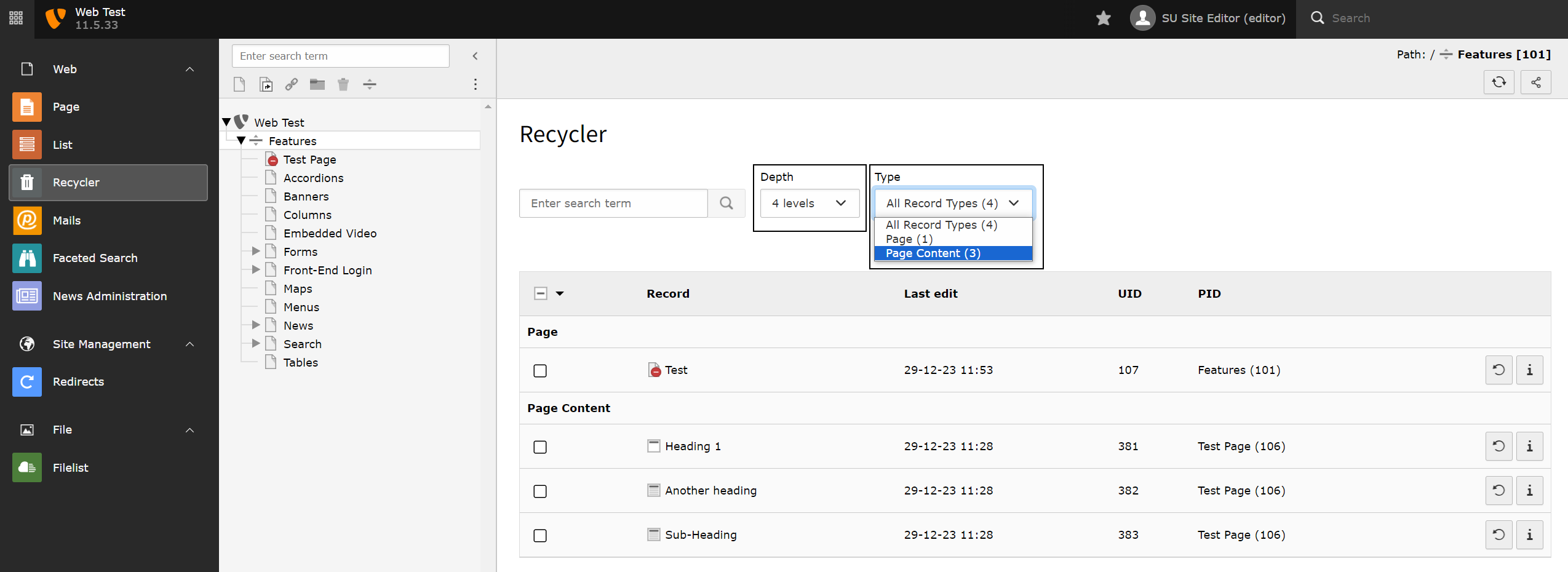 Screenshot of TYPO3's Recycler showing deleted pages and content elements.