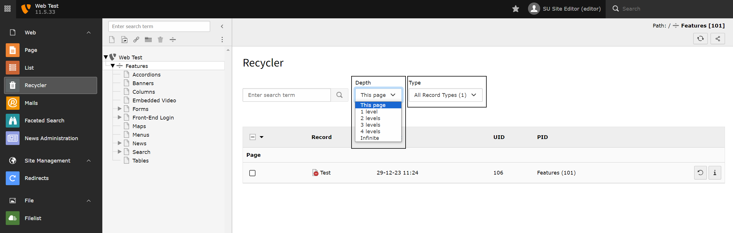 Screenshot of TYPO3's Recycler showing deleted pages.